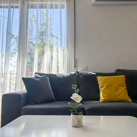 Appartement Pineta 572 *